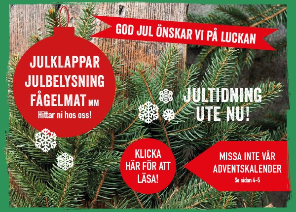 Jultidning 2025