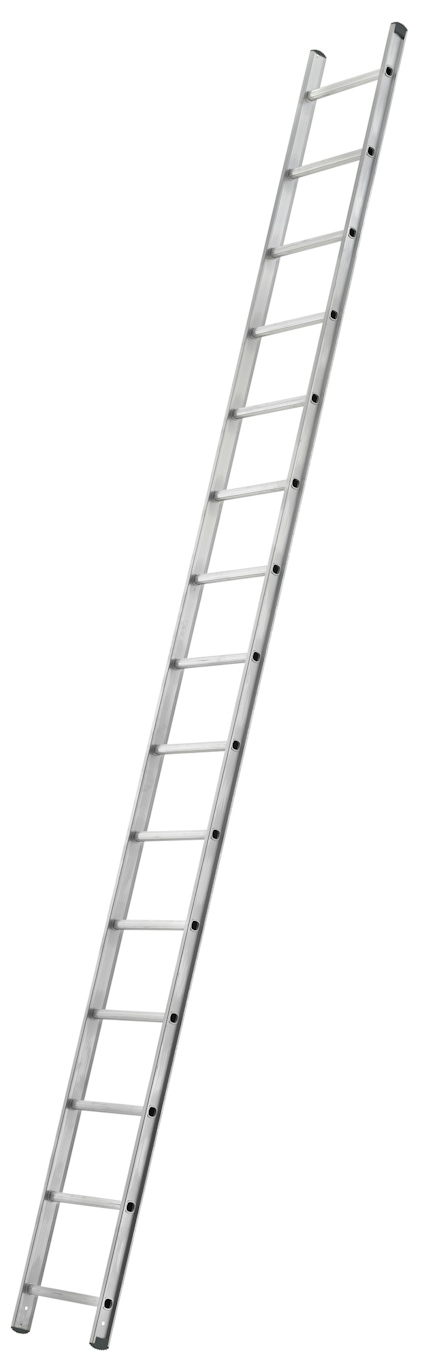 5593687.jpg
