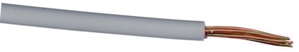 7901599.jpg