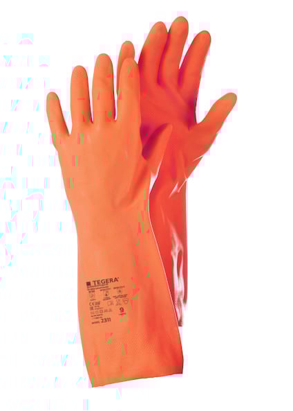 7986444.jpg