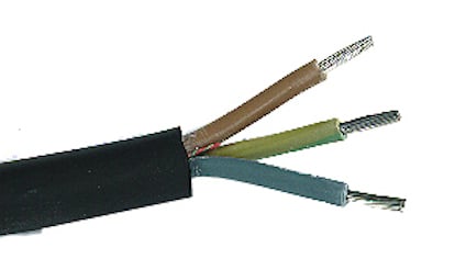 8057780.jpg