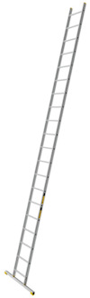 8080375.jpg
