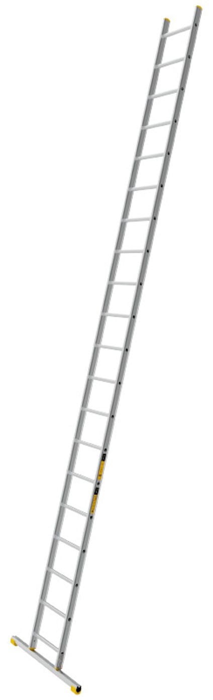 8080375.jpg
