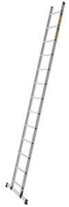 8080387.jpg