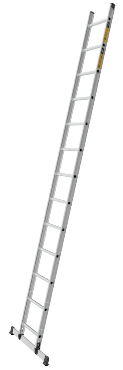 8080387.jpg
