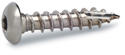 Metallskruv med rundat huvud och torx-spår, med gängor längs skaftet.