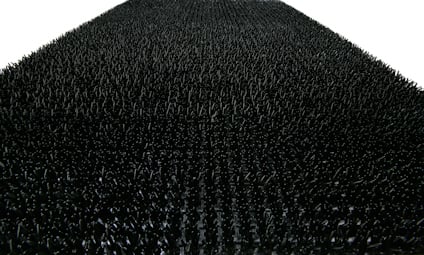 8094555.jpg