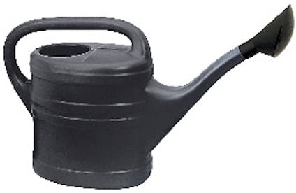 8164734.jpg