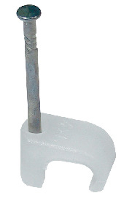 8193969.jpg