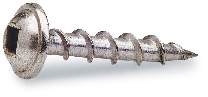 Metallskruv med en fyrkantig urgröpning i huvudet och en gängad kropp.