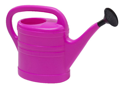 VATTENKANNA 5 L ROSA