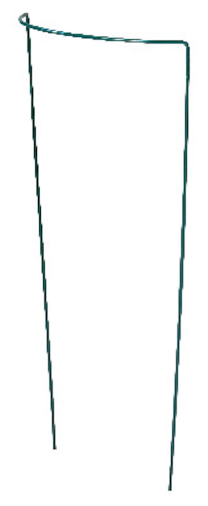 8195903.jpg