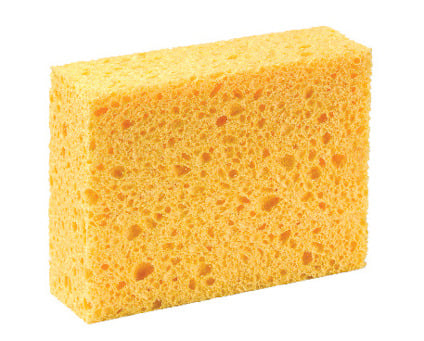 8201247.jpg